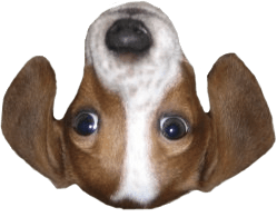 FrankerFaceZ