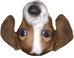 FrankerFaceZ